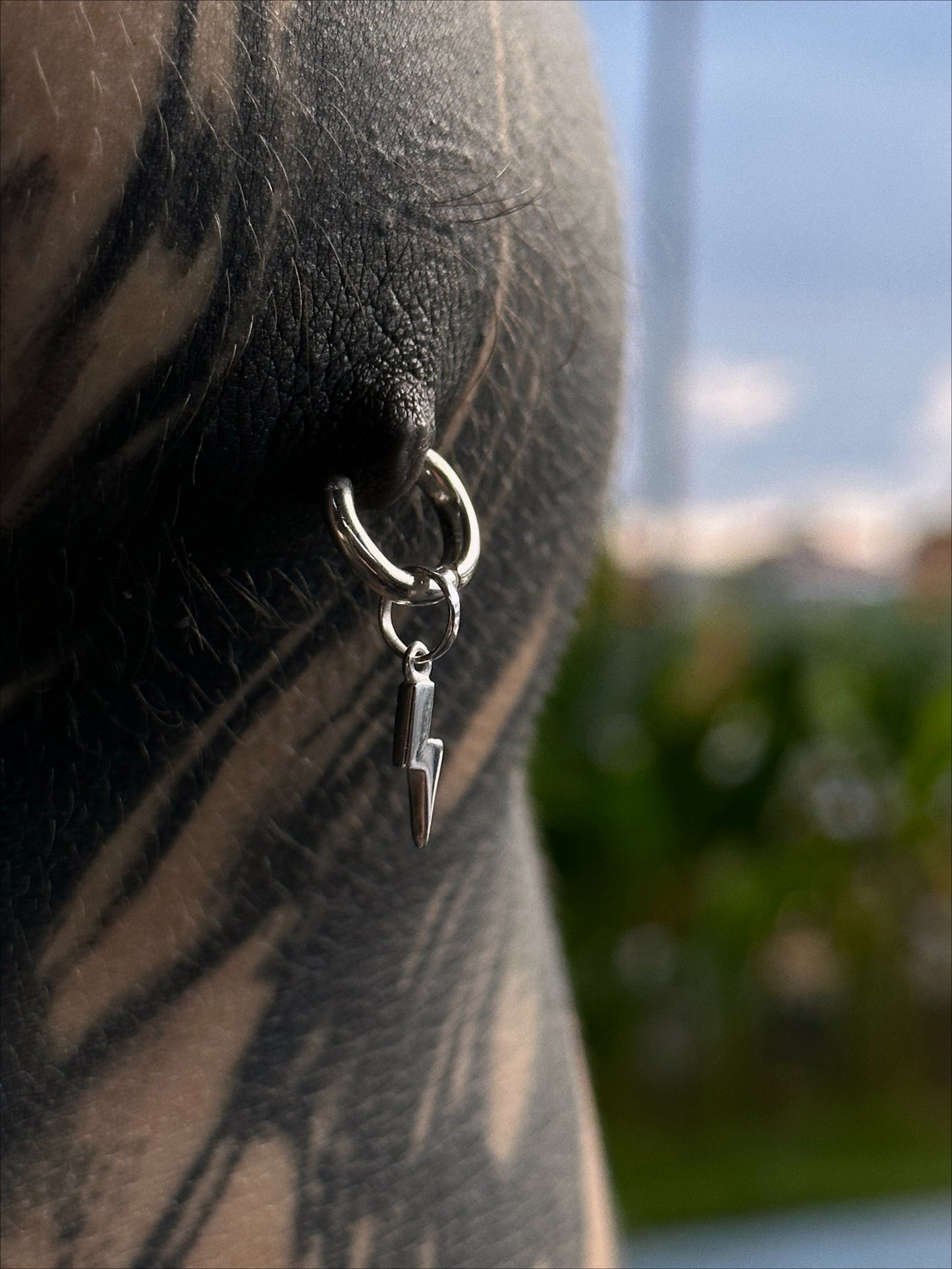 MONOearing: Hoop BASE M with mini lightning pendant